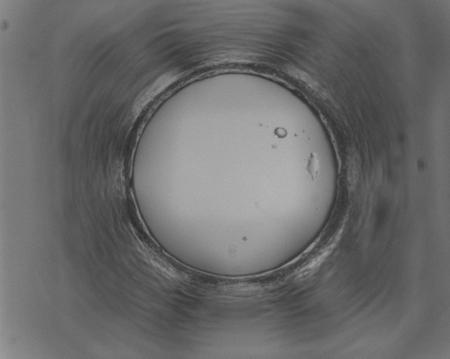 X0000073491113200608211643