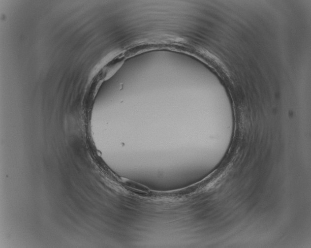 X0000073491114200608211643