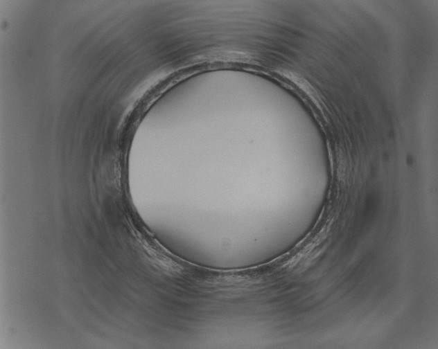 X0000073491115200608211643