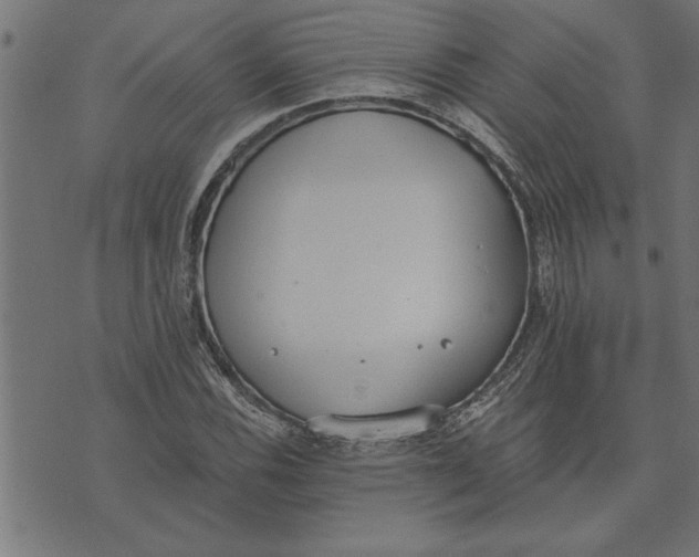 X0000073491116200608211643