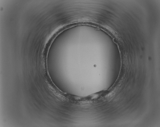 X0000073491118200608211643