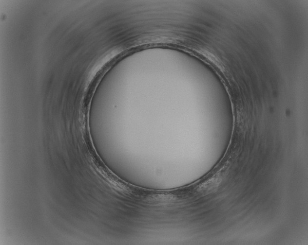 X0000073491119200608211643