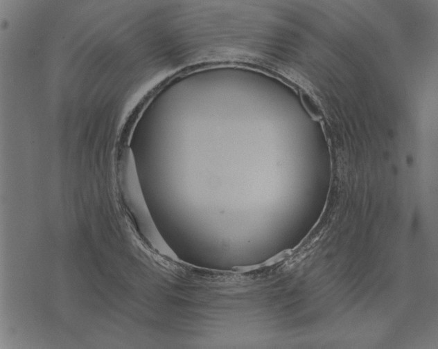 X0000073491120200608211643