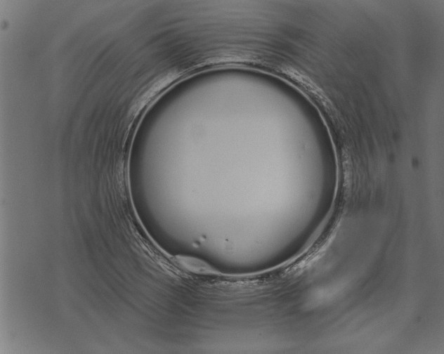 X0000073491121200608211643