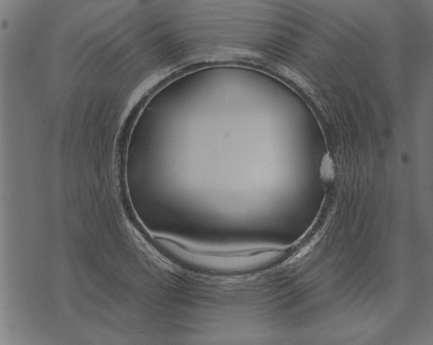 X0000073491122200608211643