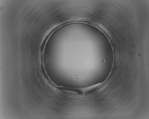 X0000073491124200608211643