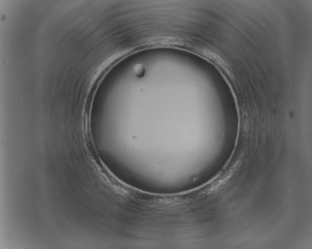 X0000073491125200608211643