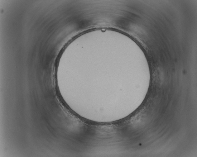 X0000073491126200608211643