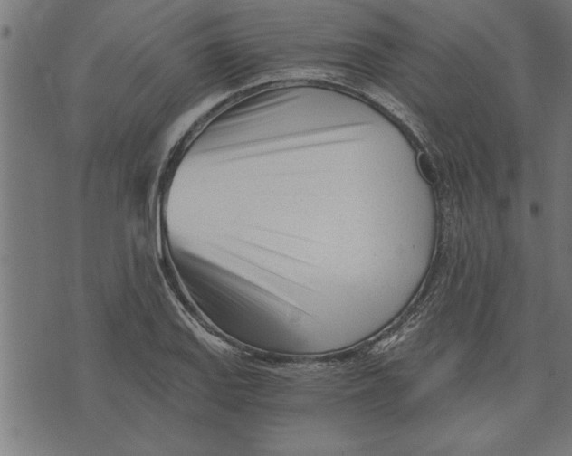 X0000073491127200608211643