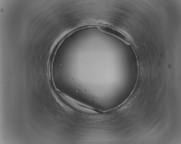 X0000073491128200608211643