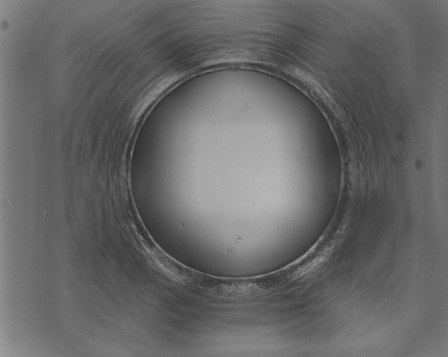 X0000073491129200608211643