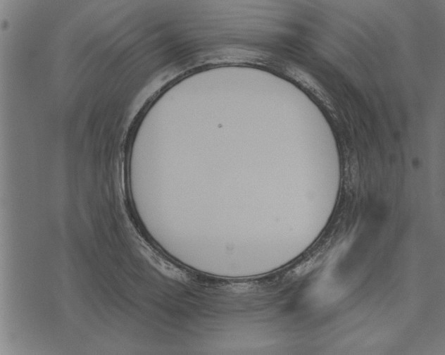 X0000073491130200608211643