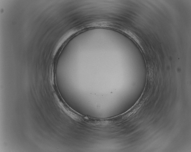 X0000073491131200608211643