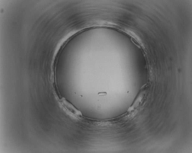 X0000073491136200608211643