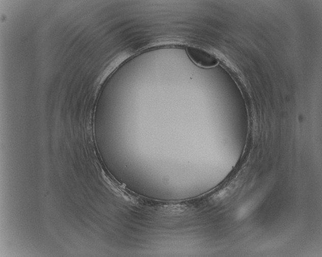 X0000073491137200608211643