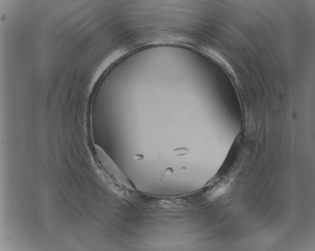 X0000073491138200608211643