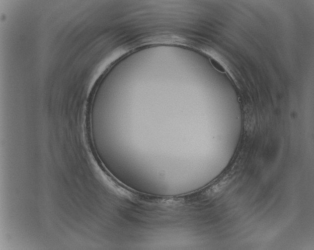 X0000073491139200608211643