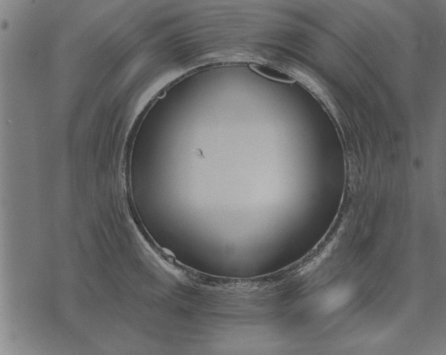 X0000073491141200608211643