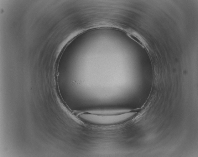 X0000073491142200608211643