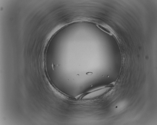 X0000073491143200608211643