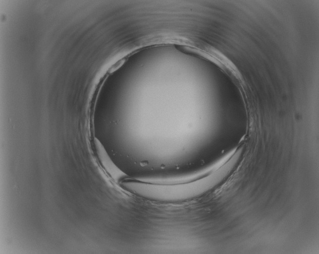 X0000073491144200608211643