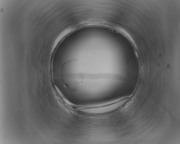 X0000073491146200608211643