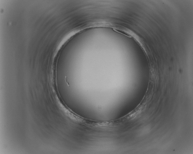 X0000073491147200608211643