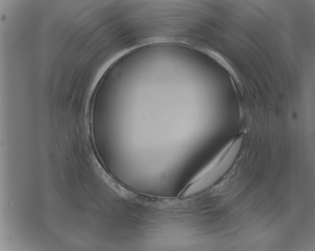 X0000073491148200608211643