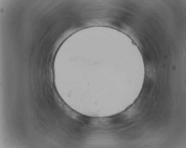 X0000073491150200608211643