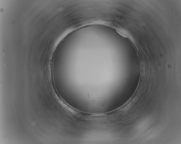 X0000073491151200608211643