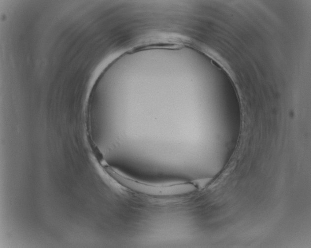 X0000073491152200608211643