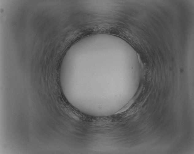 X0000073491153200608211643