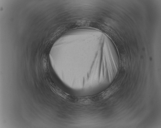 X0000073491154200608211643