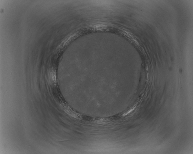 X0000073491155200608211643