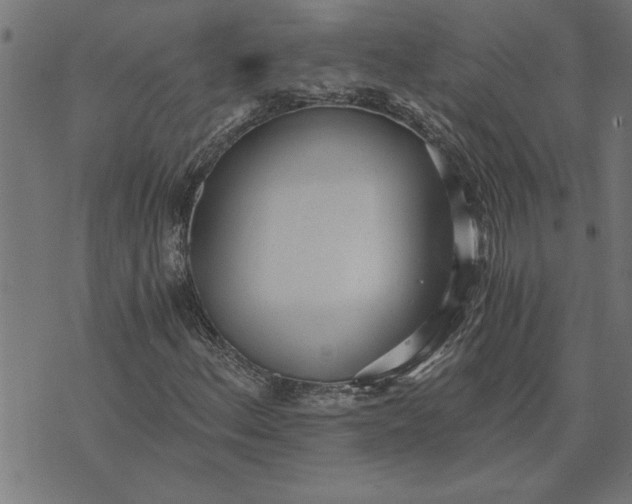 X0000073491156200608211643