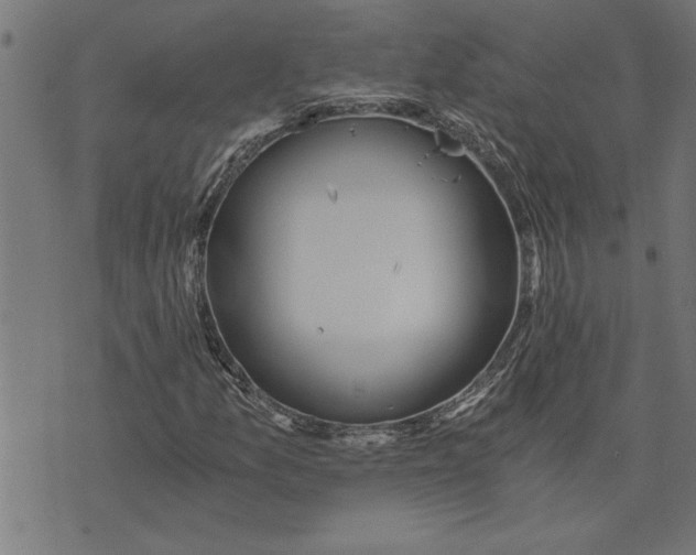 X0000073491157200608211643