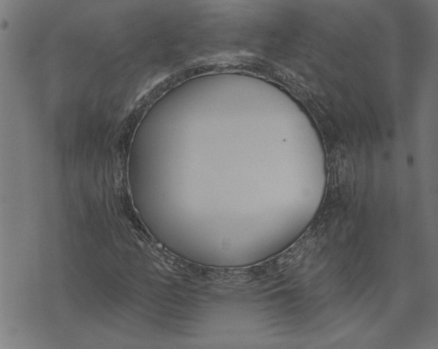 X0000073491158200608211643