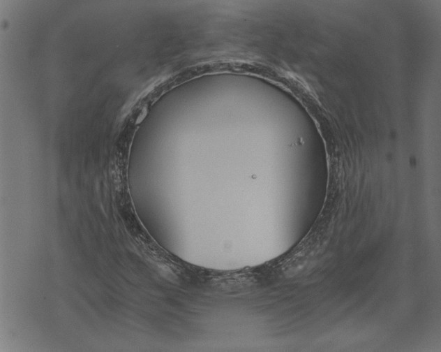 X0000073491159200608211642