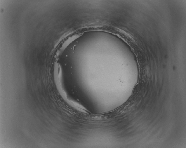 X0000073491160200608211642