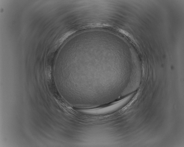 X0000073491161200608211642