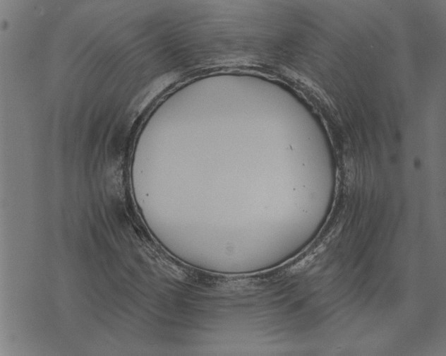 X0000073491162200608211642