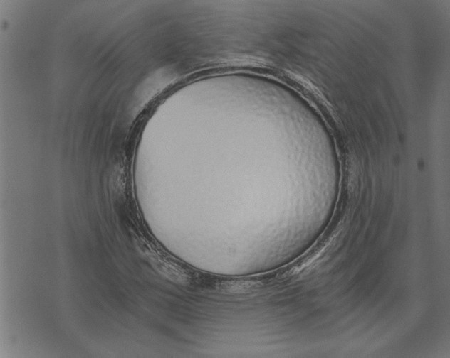 X0000073491163200608211642