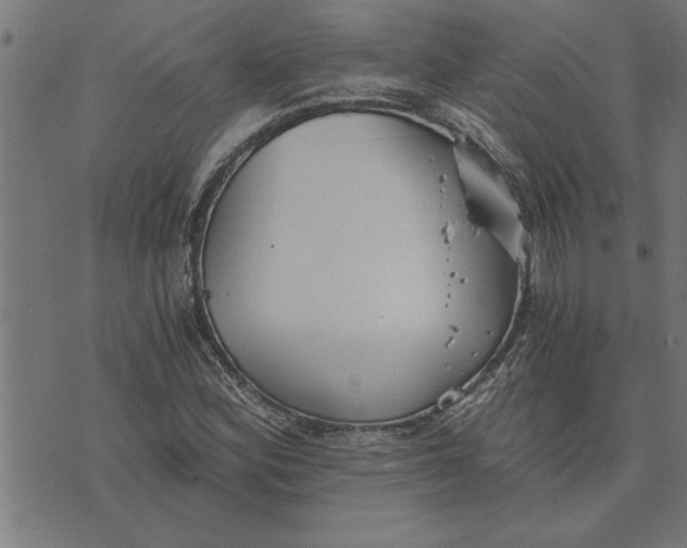 X0000073491164200608211642