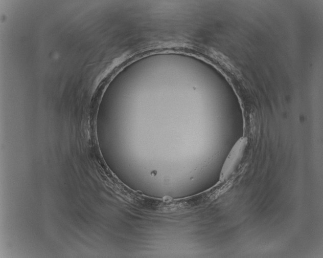 X0000073491165200608211642