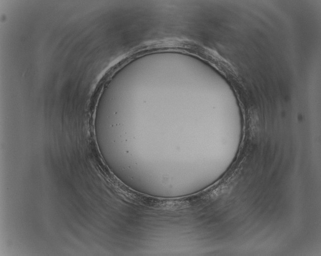 X0000073491166200608211642