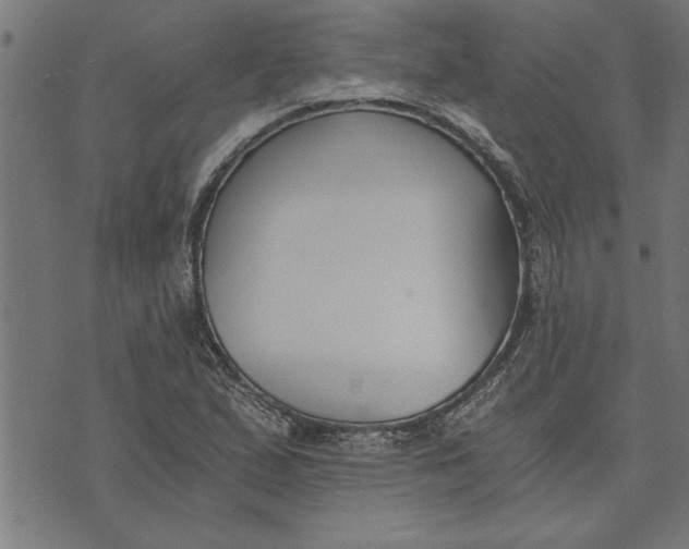 X0000073491167200608211642