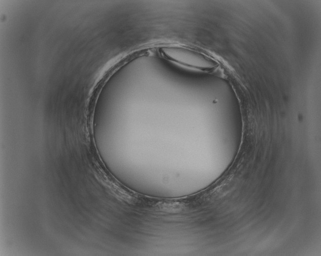 X0000073491168200608211642