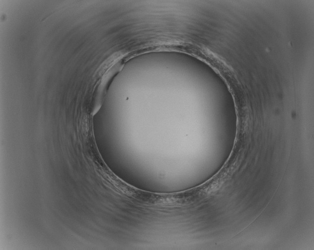 X0000073491169200608211642