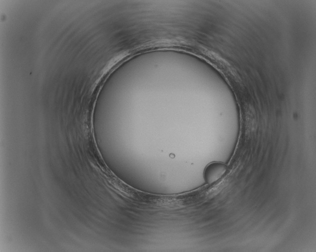 X0000073491170200608211642