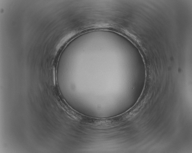 X0000073491171200608211642